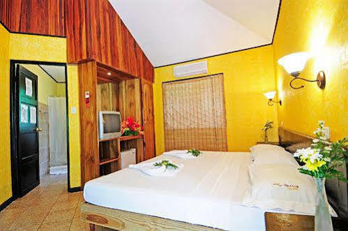 Hotel Villa Teca マヌエル・アントニオ エクステリア 写真